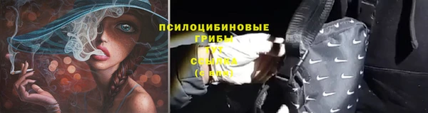 стаф Магадан