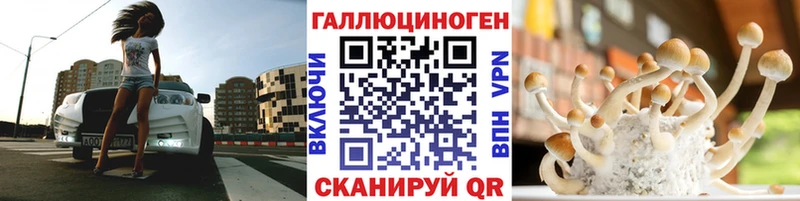 Псилоцибиновые грибы Psilocybe  Купить где  Болохово 